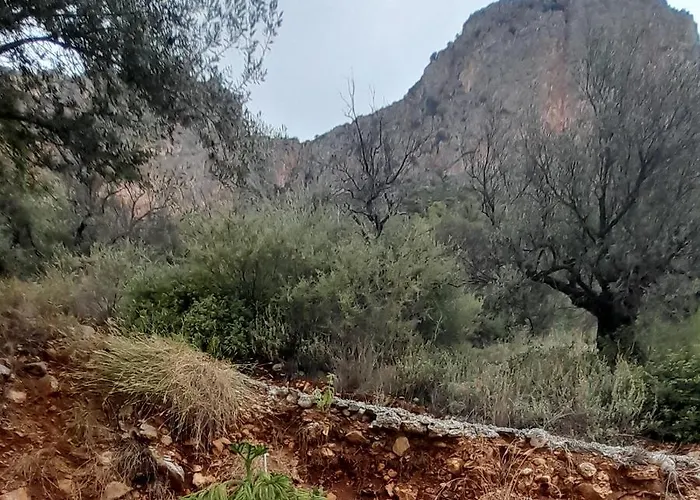 Апартаменты George House *